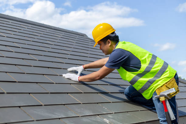 Best Metal Roofing Contractor  in New Paleste, IN