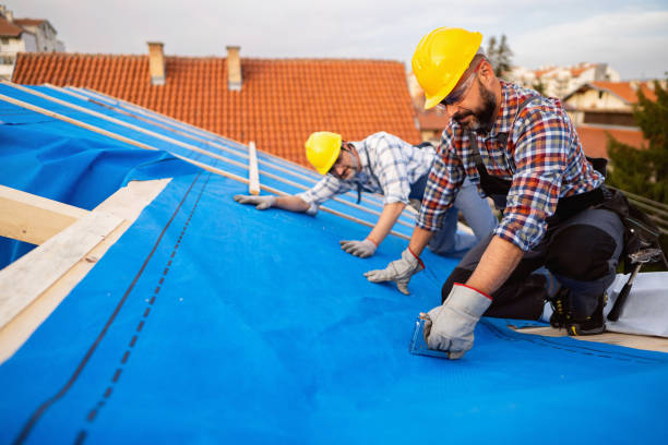 Best Roof Leak Repair  in New Paleste, IN