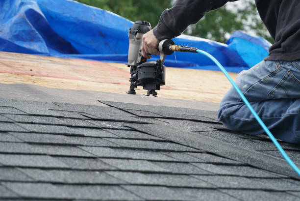 Best Roof Restoration Services  in New Paleste, IN