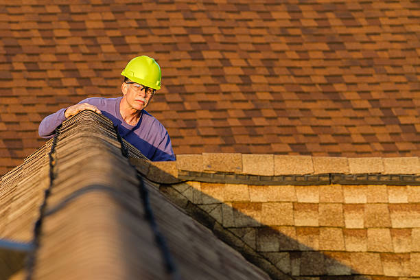 Best Roof Repair Services  in New Paleste, IN