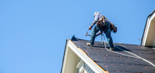 Best Sealant for Roof  in New Paleste, IN